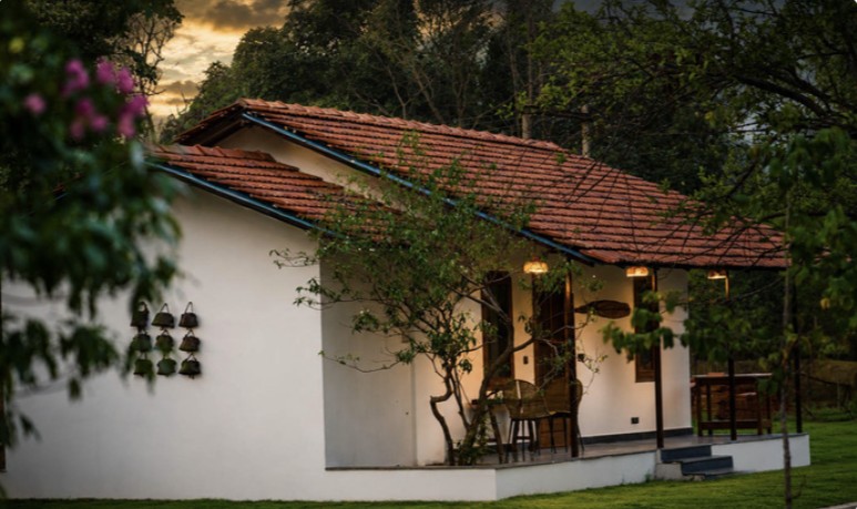 An intimate cottage surrounded by greenery