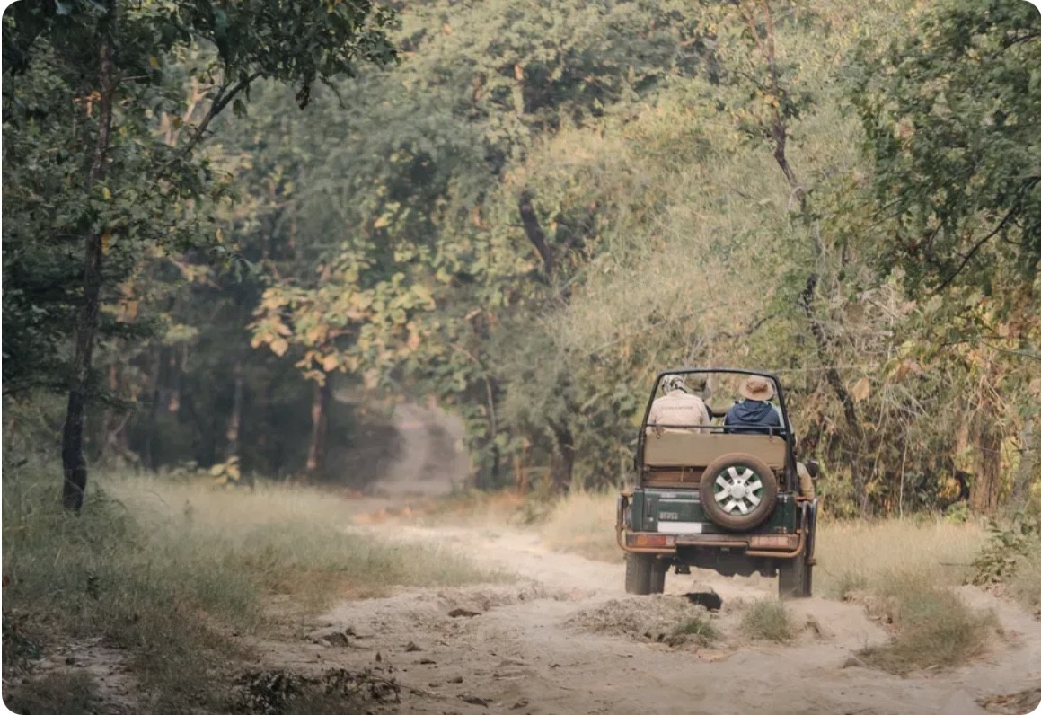 Wild & Tranquil Escapades | Forest & Beyond